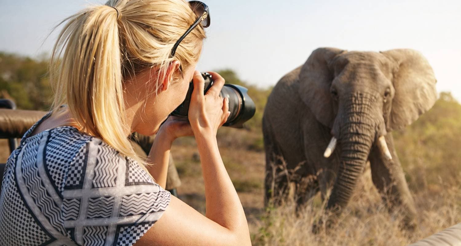 2 day South African Wildlife Safari Highlights Tour from Cape Town