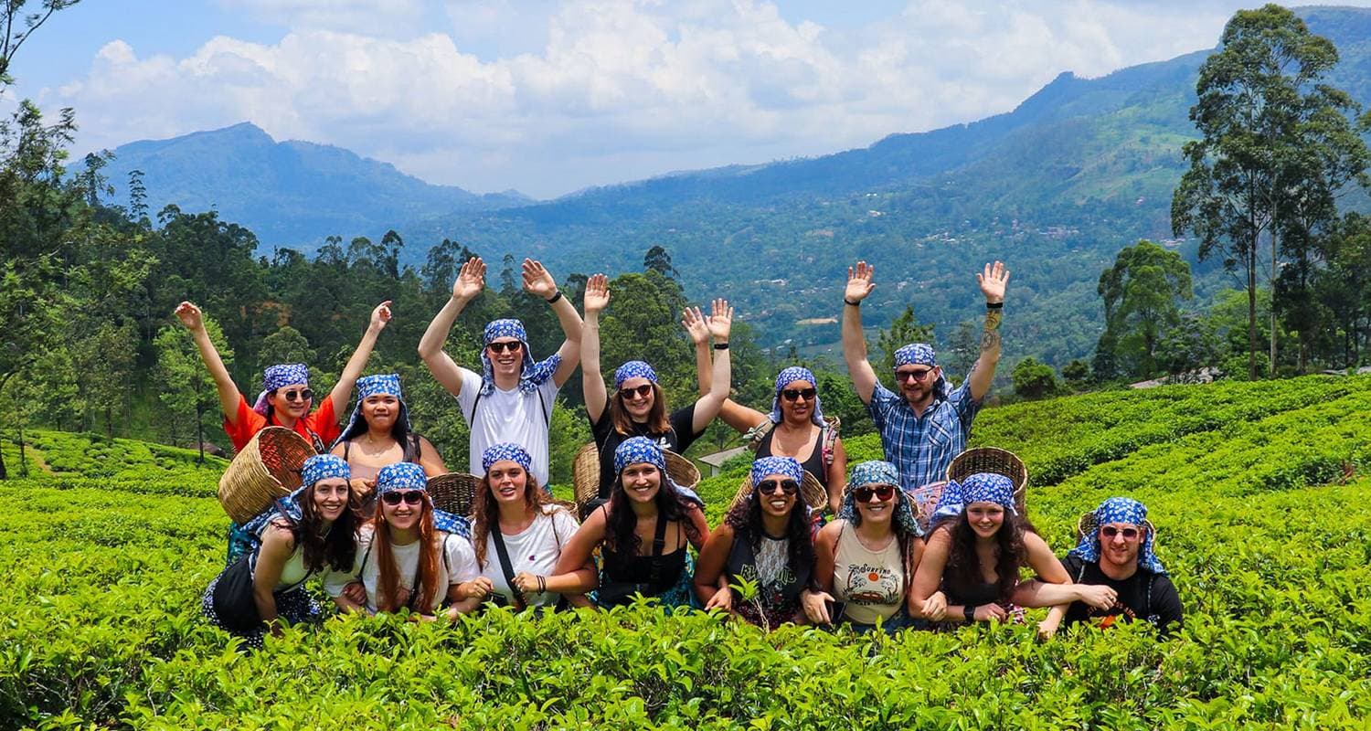 Best of Sri Lanka - Feel Free Travel