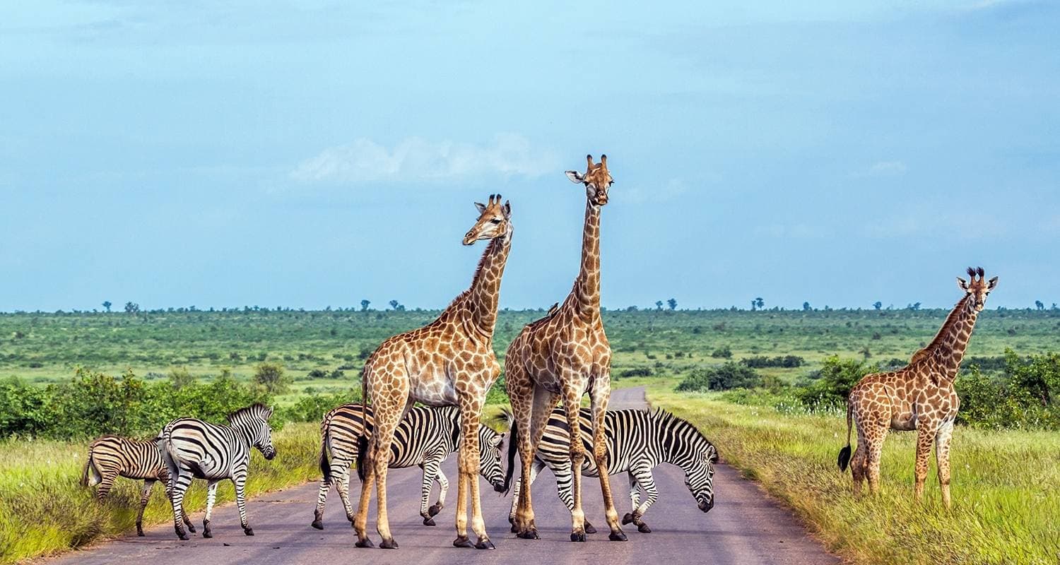 South Africa Adventure
