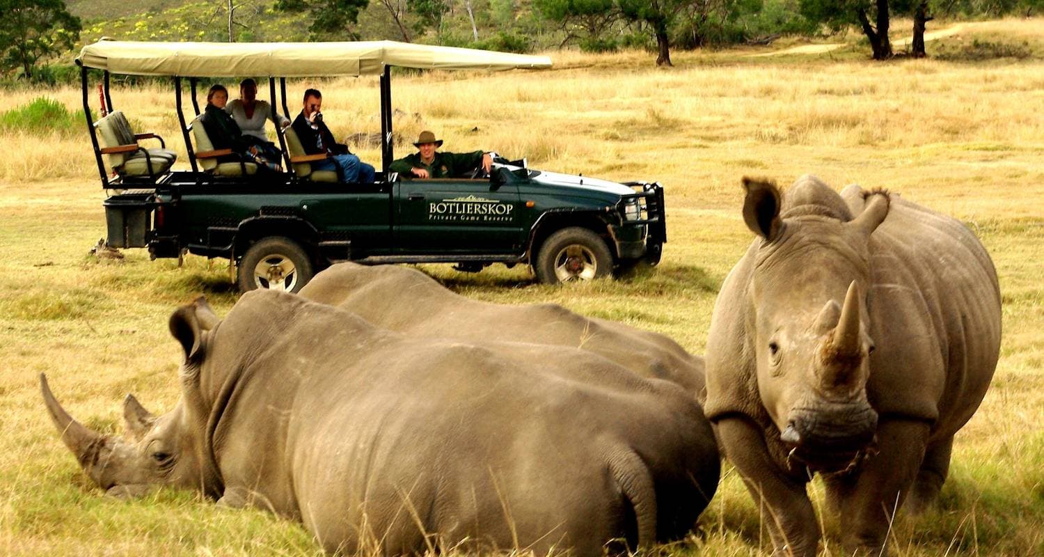 3 day Garden Route + Safari Highlights Tour from Cape Town