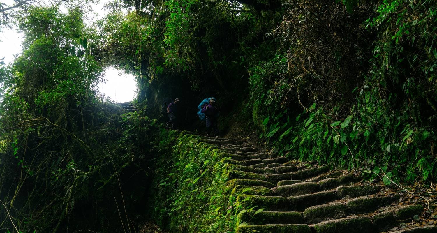 Inca Discovery Plus