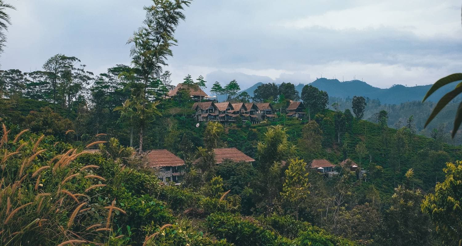 Splendour of Sri Lanka - (8 Days and 7 Nights tour in Sri Lanka)
