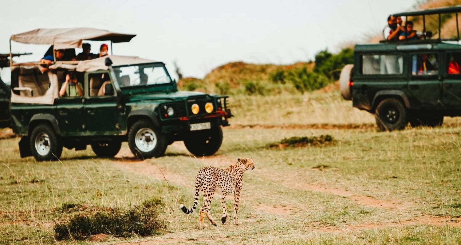 Affordable 3-Day Budget Luxury Masai Mara Safari in Kenya - With Free Night at Nairobi Hotel