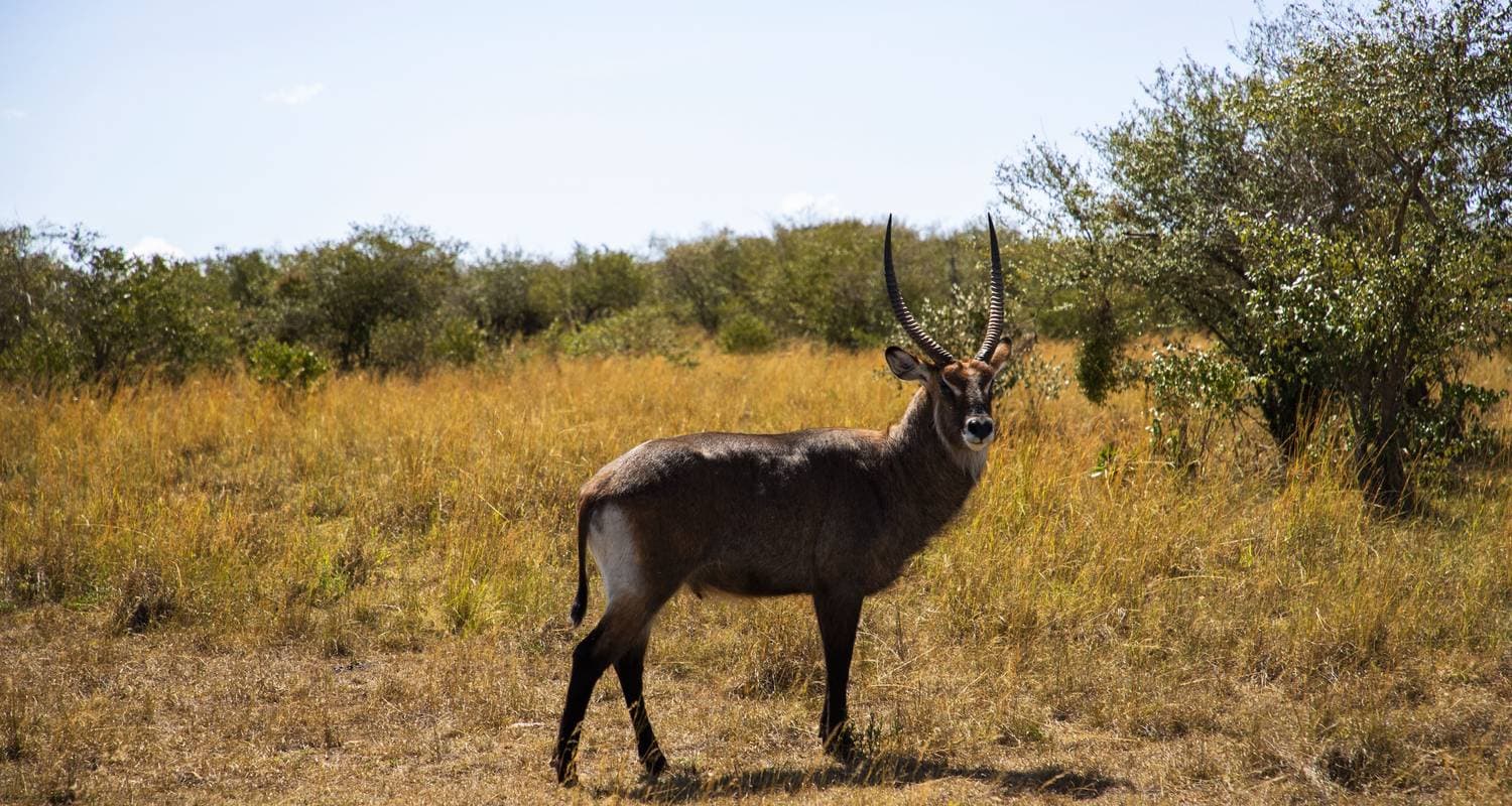 12 Days Best of Kenya and Tanzania