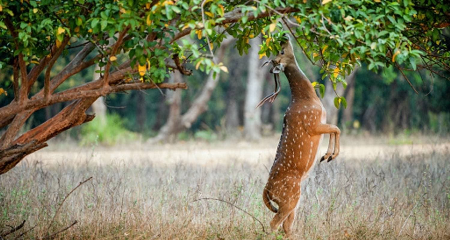 10 Days Golden Triangle Tour with Mumbai, From New Delhi Airport