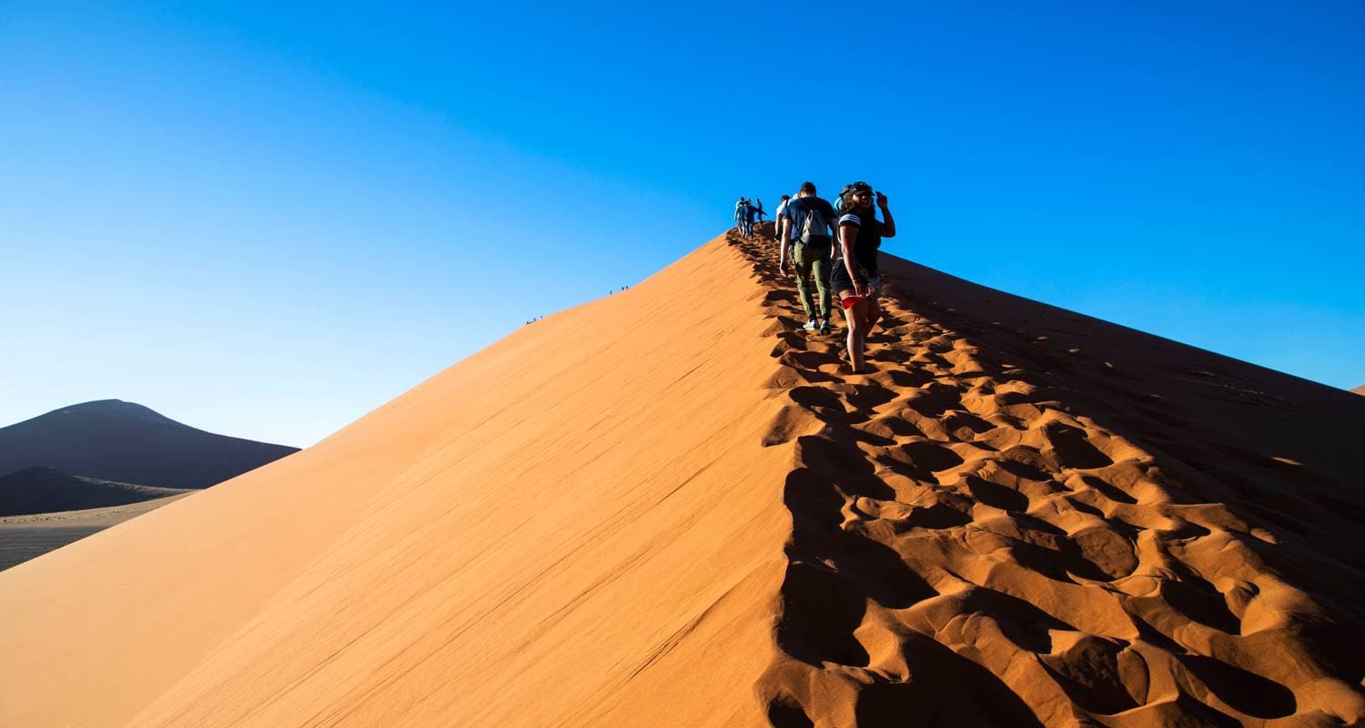 The Absolute Safari