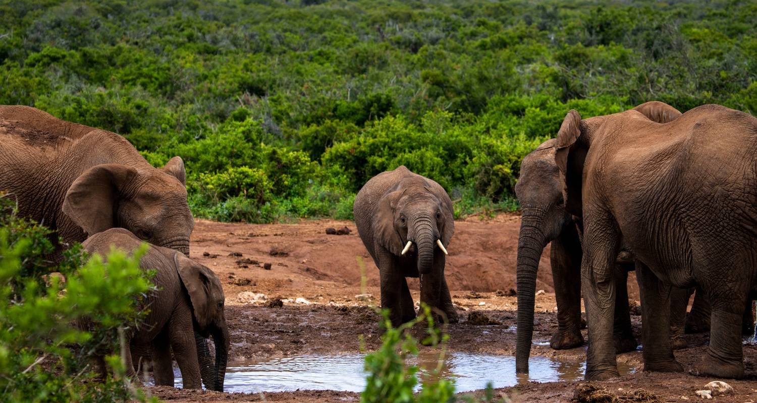 14-day Kruger to the Delta, Chobe & Victoria Falls (Accommodated)